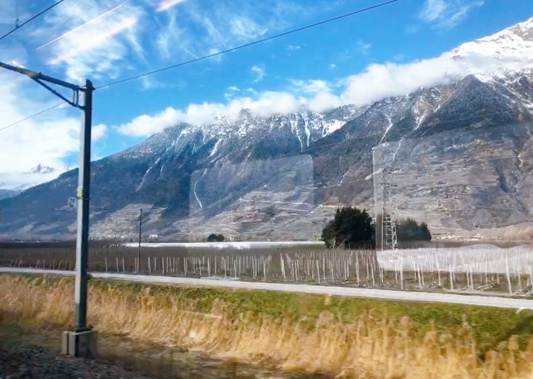 雪山　イタリア　スイス